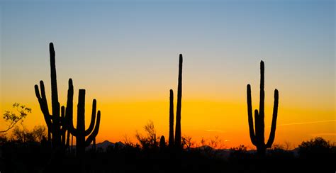 Things To Do In Phoenix Arizona Must See Places In Phoenix