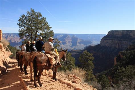 Grand Canyon With Kids Things To Do In Grand Canyon South Rim