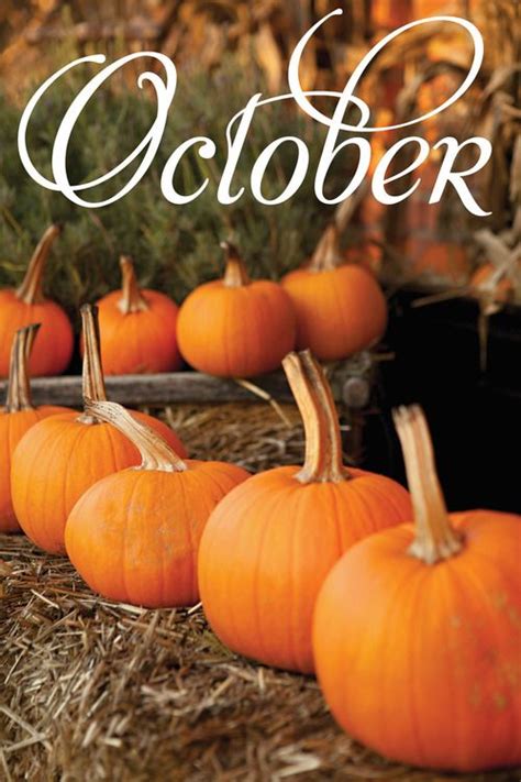 56 Best Octobernovemberfall Quotes Images On Pinterest Thanksgiving