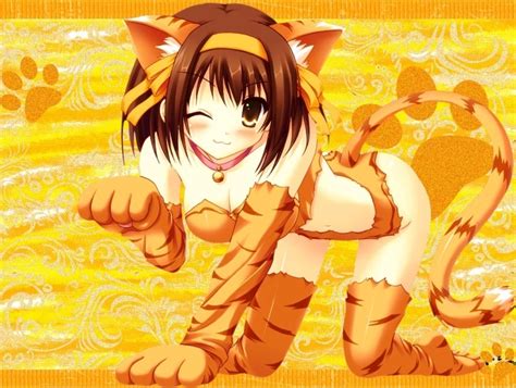 Haruhi Neko Cat Girl Know Your Meme