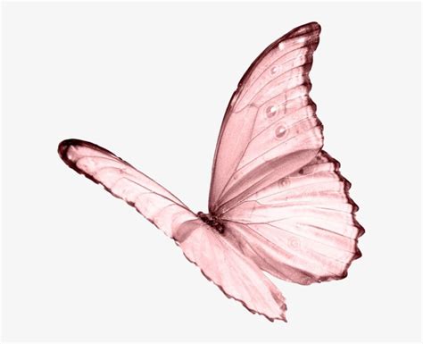 Decorate your laptops, water bot. Moodboard Aesthetic Pastel Pink Butterfly Niche Png ...