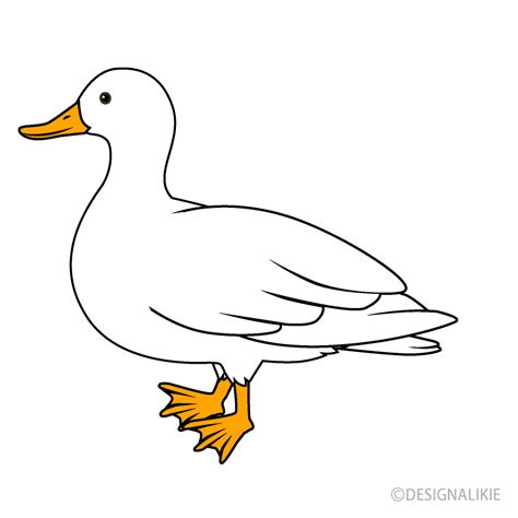 Clipart Duckling
