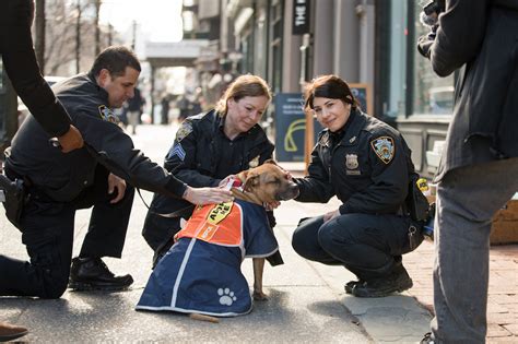 Aspca And Nypd Continue Their Mission To Protect The Animals Of Nyc