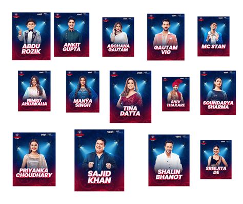 Bigg Boss Official Contestants List With Name Photos Profession