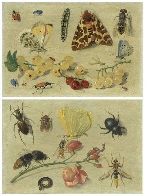Jan Van Kessel I Antwerp Butterflies A Garden Tiger Moth And Other Insects With