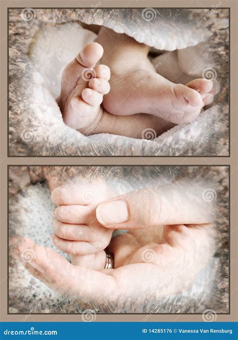 Baby Feet And Hand Picture Image 14285176