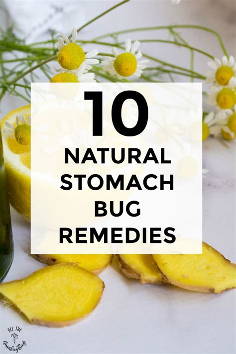 Stomach Flu Smoothie 10 Natural Stomach Bug Remedies