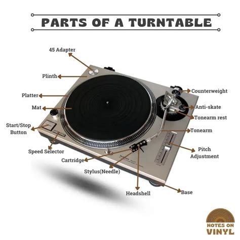 Parts Of A Turntable The 5 Elements You Must Know