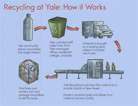 How Recycling Works At Yale—and How To Do It Better Yale Sustainability
