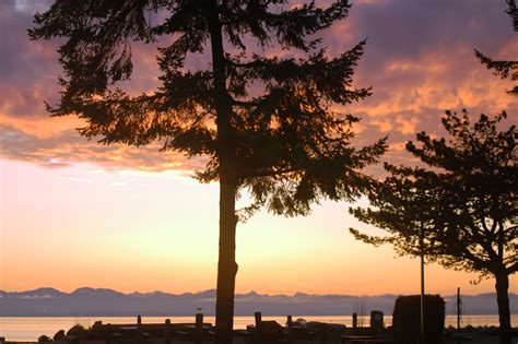 Photo Gallery Saratoga Beach Resort On Vancouver Island