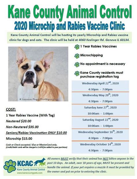 April Low Cost Rabies Vaccine And Microchip Clinic Kane County Animal