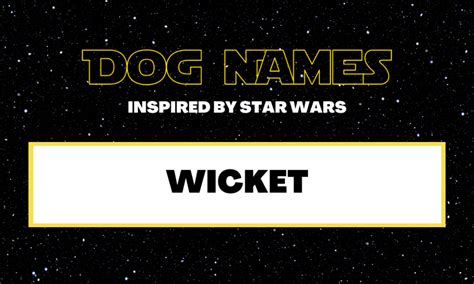 Star Wars Dog Names Tails Of Barkley