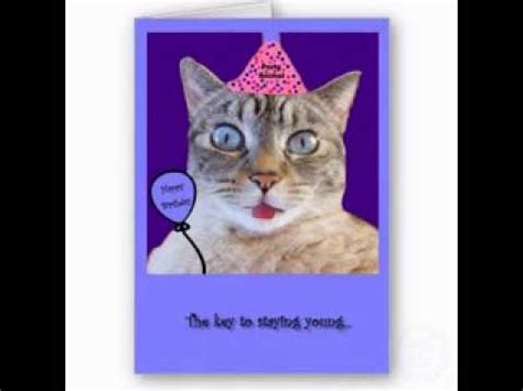 Customize with your message and your card's in the mail the next business day. Funny cat birthday cards - YouTube