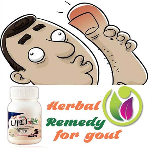 Herbal Remedy For Gout At Best Price In Ludhiana Streamline Pharmap Ltd