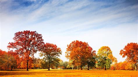 Wallpaper Sunlight Landscape Sunset Nature Sky Field Morning