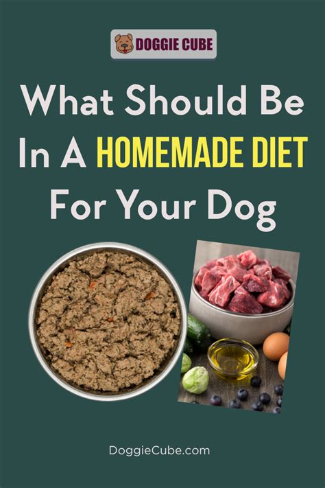 What Should Be In A Homemade Diet For Your Dog Doggie Cube Dog