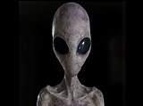 Alien (Extraterrestrial, 2014) | Alien Species | FANDOM powered by Wikia