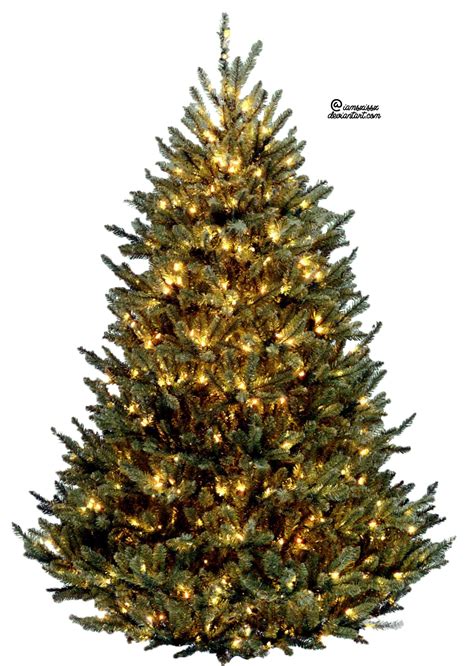 Are you searching for christmas tree png images or vector? Xmas tree png 2 by iamszissz on DeviantArt | Realistic ...