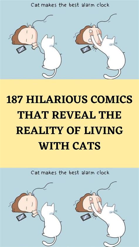Cat Comics Funny Comics Marvel Comics Text Jokes Funny Jokes