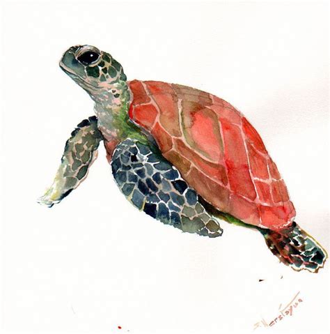 Sea Turtle Original Watercolor Painting 12 X 12 In By ORIGINALONLY