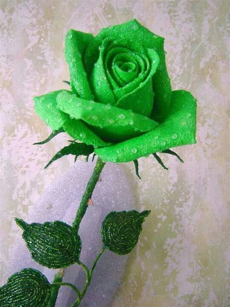 The Meaning And Top 19 Beautiful Green Roses Gardening And Home Decor