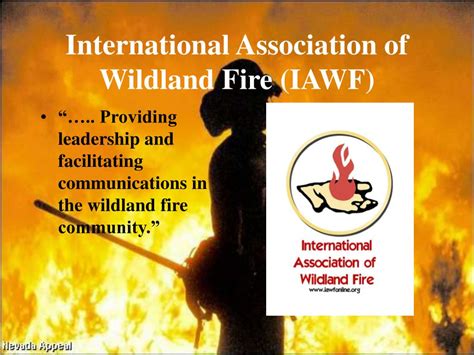 Ppt Safety In Wildland Fire Suppression Operations Powerpoint