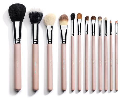 12 Makeup Brushes You Need To Look Good And How To Use Them