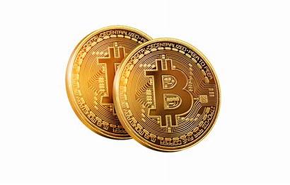 Bitcoin Cryptocurrency South African Service Transparent Revenue