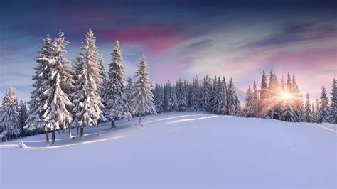 Wallpaper Sunlight Landscape Nature Sky Snow Winter