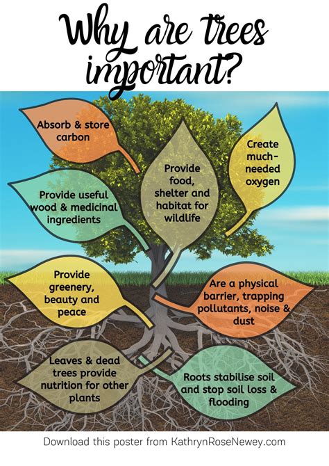 Why Are Trees Important Eco Poster ~ Kathryn Rose Newey