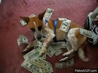 On mobile and touchscreens, press down on the gif for a couple of seconds and the save option will appear. Dog Money GIF - Find & Share on GIPHY