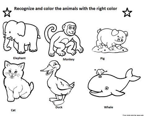 Free printable animal pictures for children coloring pages realistic to colour color scaled. Identify animals coloring - Free Printable Coloring Pages ...