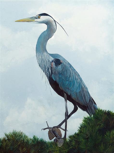 Great Blue Heron Painting By Marsha Friedman Fine Art America