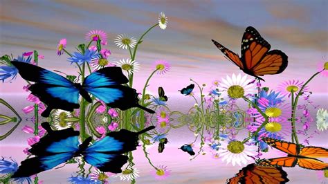 Free Download Fantastic Butterfly Screensaver