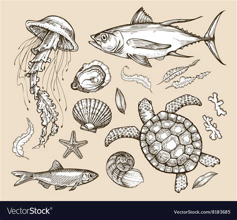 Hand Drawn Sketch Set Marine Animals Wildlife Vector Image