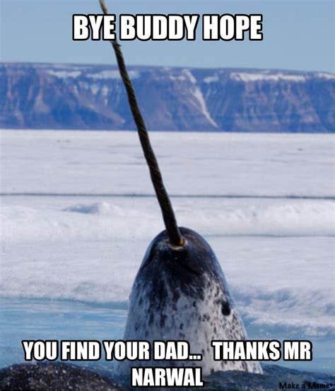 Pin By Joey On Memes Narwhal Underwater Mammals