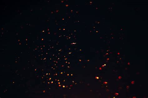 Fireflies Texture Stock Photos Pictures And Royalty Free Images Istock