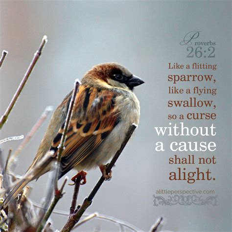 Proverbs 26