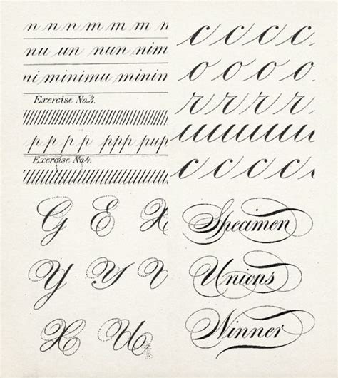 20 Calligraphy Alphabet Specimens Inspiration