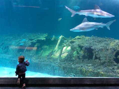 40 Awesome Museums In North Carolina For All Ages