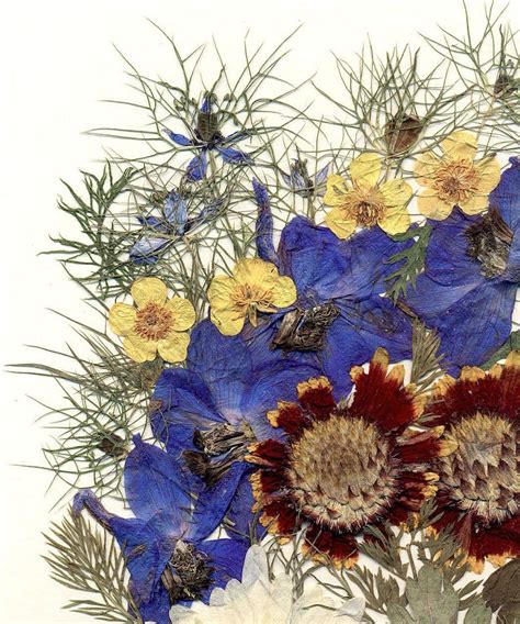 Dried Wildflowers Pressed Flower Art Botanical Framed Home Etsy