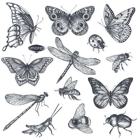 Vector Insects And Wildflowes Set Insectssetvector Affiliate