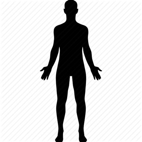 Body Icon Png 358403 Free Icons Library