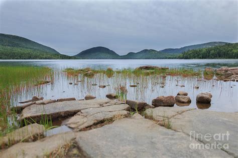 Eagle Lake Acadia National Park Photograph By Elizabeth Dow Fine Art