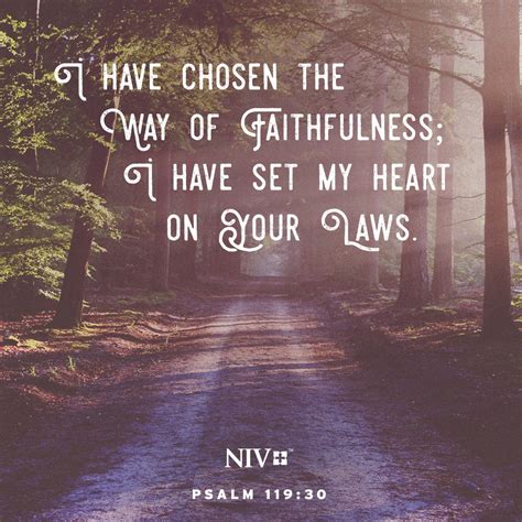 Niv Verse Of The Day Psalm 11930