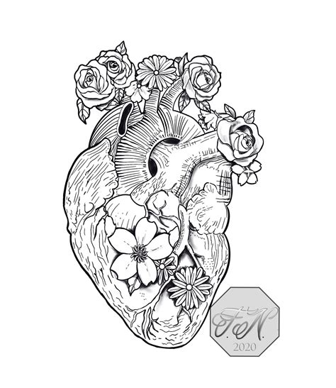 Aggregate More Than 78 Anatomical Heart Tattoo Sketch Latest Vn
