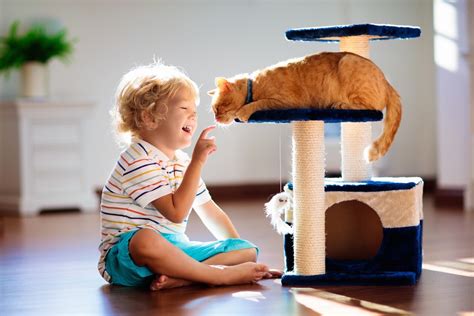 What Are The Best First Pets For Kids