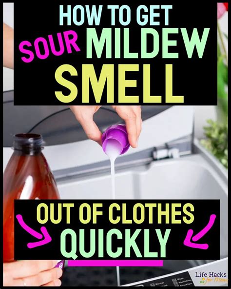 How To Get Mildew Smell Out Of Clothes And Soured Laundry Quickly