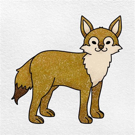 Coyote Illustration