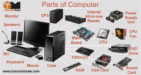 The Parts Of The Computer System In 2023 Computer Set Computer